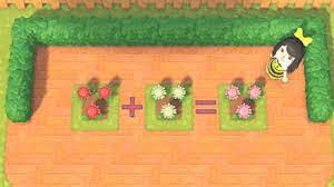 We did not find results for: How To Get Mums Using Mums As A Diy Material Acnh Animal Crossing New Horizons Switch Game8