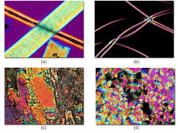 Image result for Polarized Microscopy