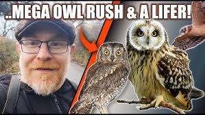 Niagara Birding and a Towsend's Warbler near Toronto