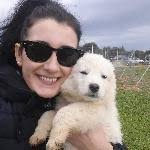 10 Migliori Pensioni per Cani a Airasca