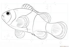 Tropical Fish Outline Drawing Fish Coloring Page Fish Drawings Animal Coloring Pages