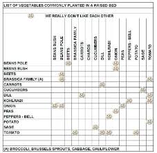 Okra Companion Plants Oncallvirtualsolutions Online