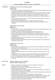 Business Analyst Lead Resume Samples Velvet Jobs