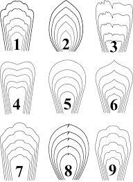 Just searching through the intern for the flowers templates can be time simple method on how to make large paper flowers for your event, weddings, baby showers and home decor. All 9 Templates Paper Flower Templates Giant Paper Flower Etsy Paper Flower Patterns Giant Paper Flowers Template Paper Flower Template