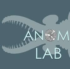 What does anom stand for? Anom Lab Anomlab Twitter
