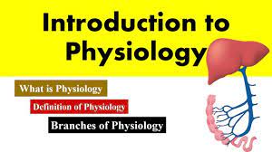 Introduction To Human Physiology Definition And Branches Of Physiology Physiology Anatomy And Physiology Introduction