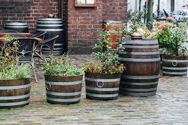Maybe you would like to learn more about one of these? 19 Baume Die Sich Fur Kubel Eignen Baume Im Topf Einpflanzen