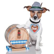 New, used & rare books.compare price and edition great selection and amazing prices. Oktoberfest Deko Ideen Fur Die Bayerische Dekoration