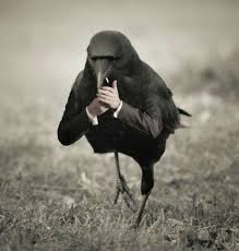 Bird That Sounds Like A Monkey Pin By Siva Mg On Rocks Photoshopped Animals Surreal Art Weird Art