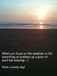 When You Focus On The Sunshine In Life Something As Ordinary As A Grain Of Sand Has Meaning Grain Of Sand Garden Quotes Sand