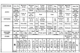 Tooth Chart Natural Health Techniques