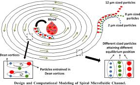 It is an autonomous college affiliated to university of madras established on 15th august 1947. Design And Computational Modeling Of Spiral Microfluidic Channel For Sorting And Separating The Biomolecules Bentham Science