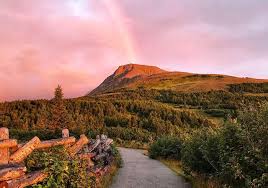 How long do cats stay in heat? Long Daylight Visit Anchorage