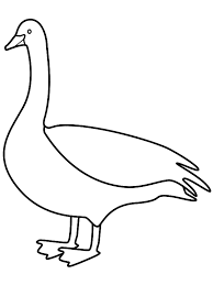 Click the canada goose coloring pages to view printable version or color it online (compatible with ipad and android tablets). Goose Coloring Page Birds 1708075 Png Images Pngio