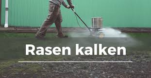 Mehrfach habe ich bereits gelesen, dass die ausläufe der hühner gekalkt werden sollten. Rasen Kalken Garten Schule