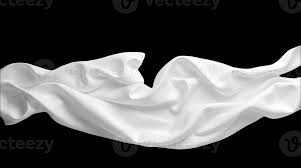 Kinkaku & Ginkaku Gold & Silver Brothers SR Holo Foil Naruto NR-SR-050 MINT legendary shine