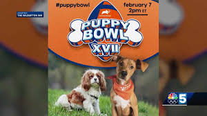 Even though american adoptions specializes in infant adoption, there are a few other ways to adopt a child in vermont learn more about our adoption services for adoptive families here. Vermont Dogs To Be Featured In Puppy Bowl
