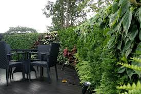 Deep Green Landscaping Vertical Gardens Perth Green Walls Living Walls Vertical Garden Patio Landscape Design Patio Design
