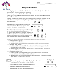 The student will test a working hypothesis. Pdf Pedigree Worksheet Dominance Genetics Genotype