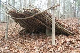 From keeping warm with our thermal blankets and survival shelters to keeping things in sight with our range of led torches and practical head torch. Pin On Summer Activities