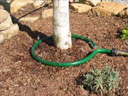 Save And Conserve Water With Trickle Drip Irrigation Youtube