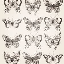 Third One Down Middle Yes Butterfly Drawing Butterfly Sketch Drawings