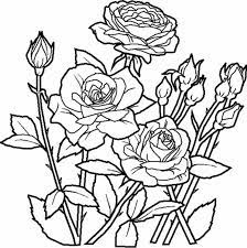 Saved by adventures of a caregiver. Elegant Roses For Beautiful Flower Bouquet Coloring Page Color Luna Rose Coloring Pages Flower Coloring Pages Garden Coloring Pages