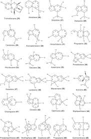 Image result for Pleiotaxis argentea