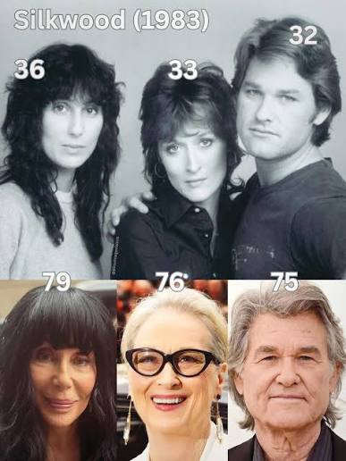 Silkwood (1983) is a gripping, real life drama about a nuclear plant worker  who risks everything to expose dangerous safety violations. Led by  powerhouse performances from Meryl Streep as Karen Silkwo