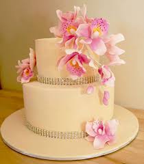 Pink cornelli lace wedding cake bottom tier. 2 Tier Engagement Cake With White Orchid Flowers 3kg Buy Online At Best Prices In Sri Lanka From Lankaeshop Com