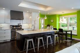 lime green kitchen houzz