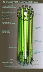 12 Chamber Reactor Algae Alternative Energy Sustainable Energy