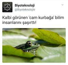 instagram panosundaki pin