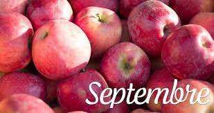 Que faire dans son jardin au mois de septembre ? - Estragon.be