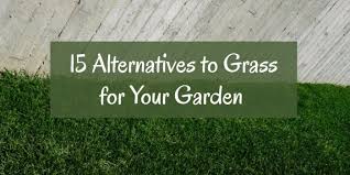 Opt for regular mondo grass, which grows up to 6 inches tall, or choose dwarf mondo grass, just 2 inches tall, and never mow again. 15 Alternatives To Grass For Gardens Mainland Aggregates Ltd