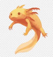 Personally, this is my favorite one! Axolotl Png Images Pngegg
