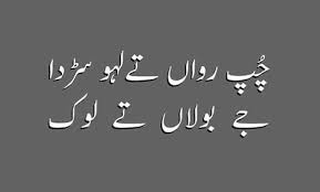 ہنڑ کرا کی فر 😒 | Urdu funny poetry, Love poetry urdu, Poetry ...