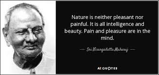 May you find great value in these inspirational pleasure quotes from my large datebase of inspiring quotes and sayings. Top 25 Pain And Pleasure Quotes Of 159 A Z Quotes