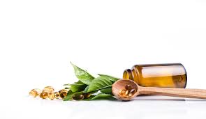 When Can Supplements Replace Medications In Dogs And Cats Animal Wellness Magazine