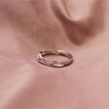 The shape of a möbius strip. Mobius Ring La Meno