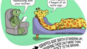 It also gives you results, which are based on the. I Illustrate Random Animal Facts 12 New Comics Opera News