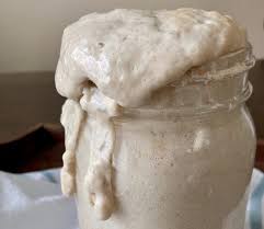 Sourdough Starter