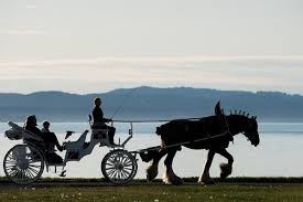 Victoria Horse Carriage Rides in 2026 ...