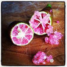 As the name suggests, this fruit features dark brown skin and dark red vesicles. Tips For Growing Native Finger Limes Small Green Things