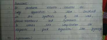 Cells are surrounded by a structure known as cell membrane. What Would Happen To The Life Of A Cell If There Was No Golgi Apparatus Brainly In