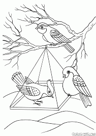 For boys and girls, kids and adults, teenagers and toddlers, preschoolers and older kids at school. Coloring Page Birds In A Feeder