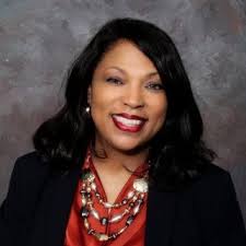 Image result for Felicia boehmii