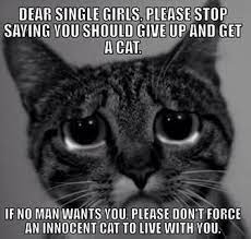 Pin On Funnies