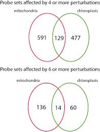 Comparison of transcriptional changes to chloroplast and mitochondrial  perturbations reveals common and specific responses in Ar