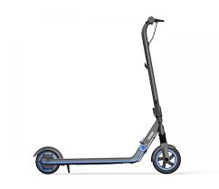 Not all manufacturers publish e10 fuel compatibility. Ninebot Kickscooter E10 Enhanced Performance Design Segway Consumer Product